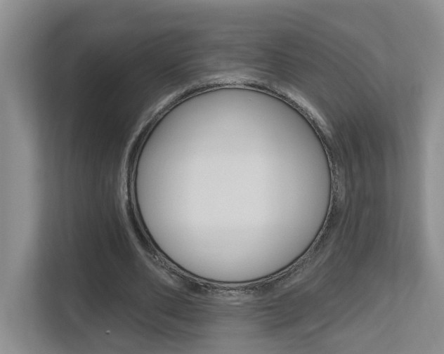 X0000112500486200908171014