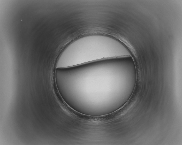 X0000112500489200908171014