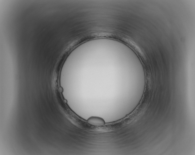 X0000112500490200908171014