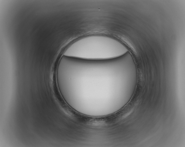 X0000112500491200908171014