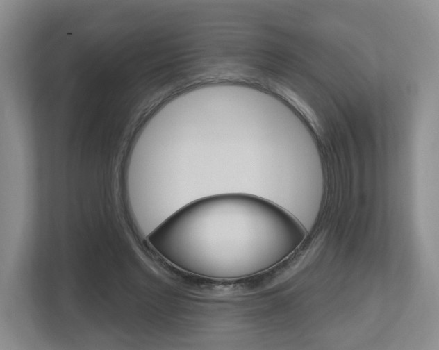 X0000112500493200908171014