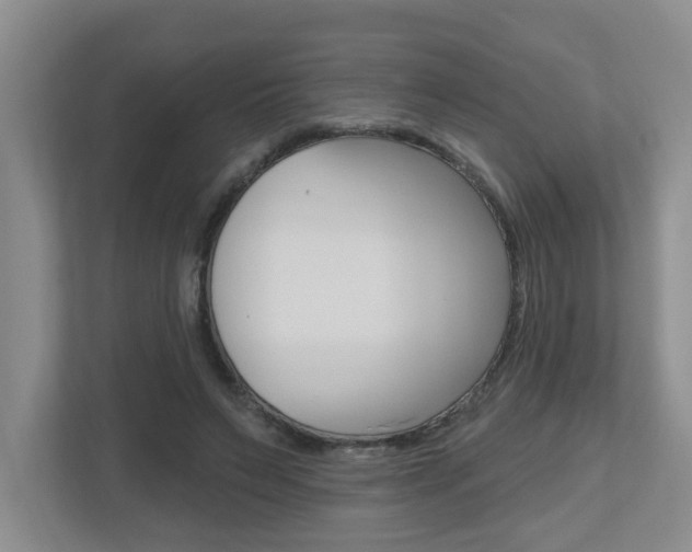 X0000112500495200908171014