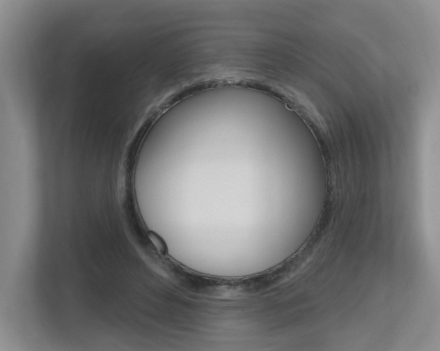 X0000112500496200908171014