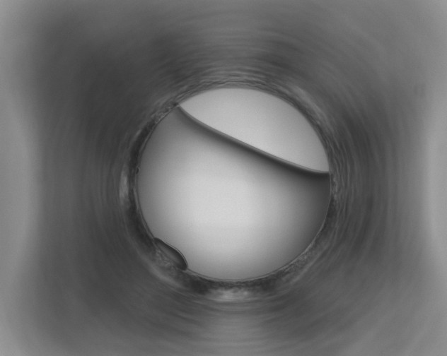 X0000112500500200908171014