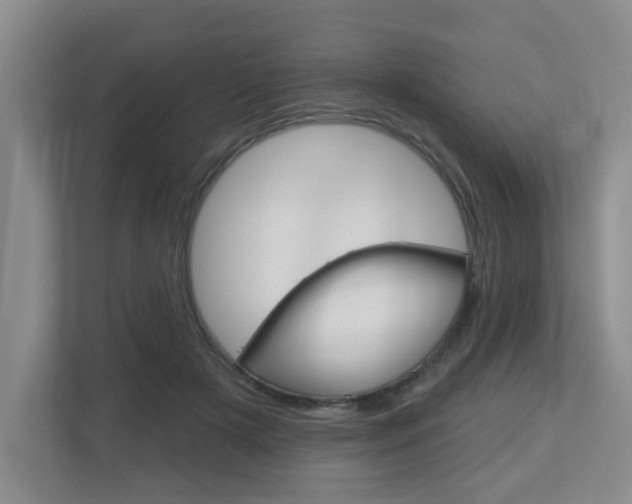 X0000112500505200908171014