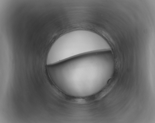 X0000112500509200908171014