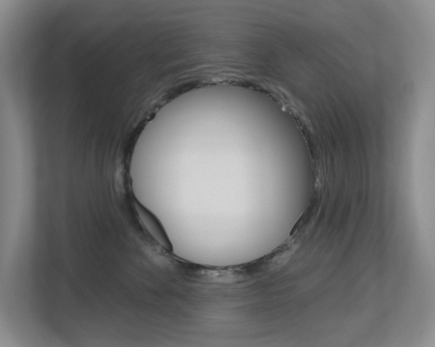 X0000112500524200908171014