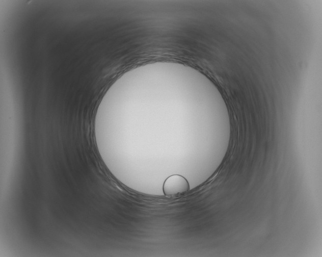 X0000112500528200908171014