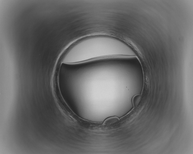 X0000112500532200908171013
