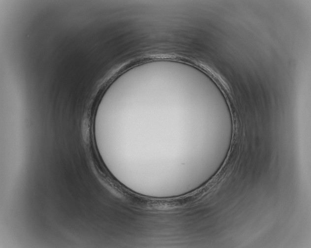 X0000112500533200908171013