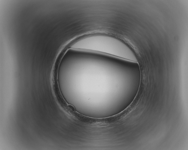 X0000112500536200908171013