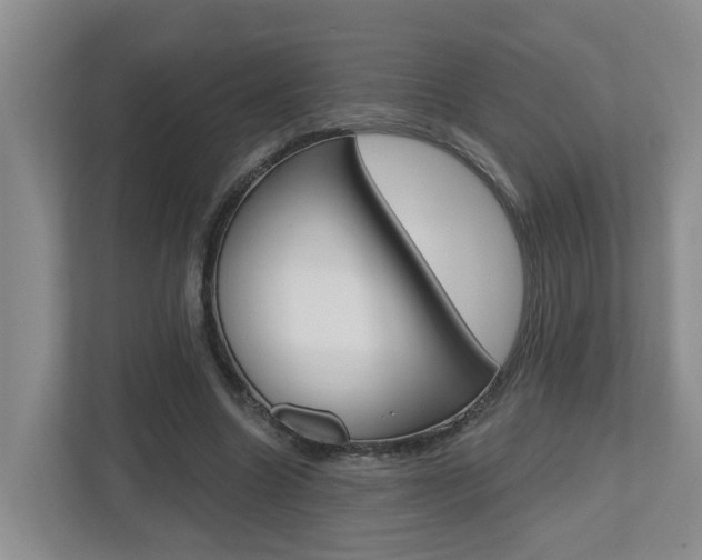 X0000112500538200908171013