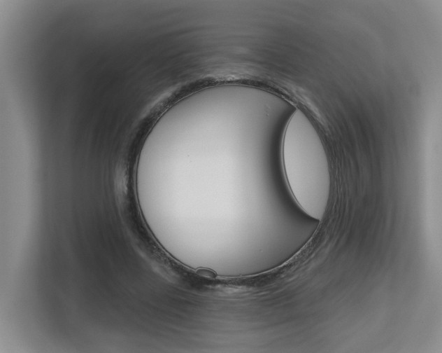 X0000112500539200908171013
