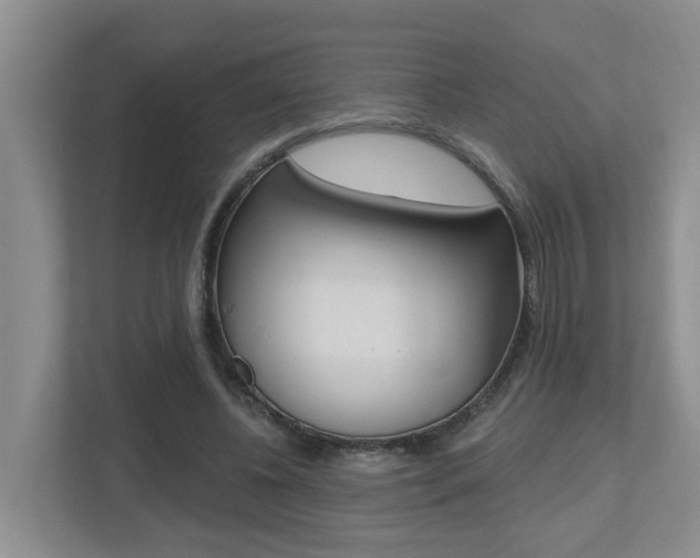 X0000112500540200908171013