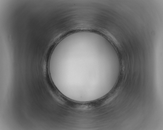 X0000112500542200908171013