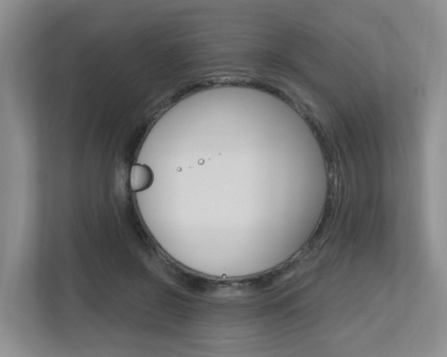 X0000112500550200908171013