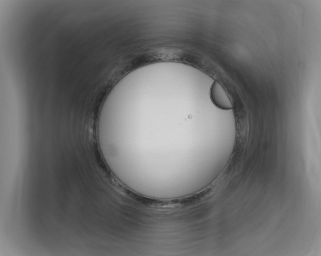 X0000112500553200908171013