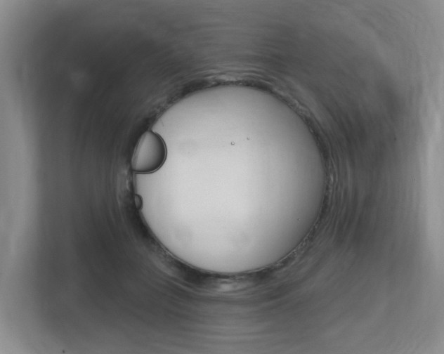 X0000112500555200908171013