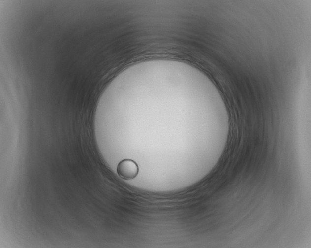 X0000112500556200908171013