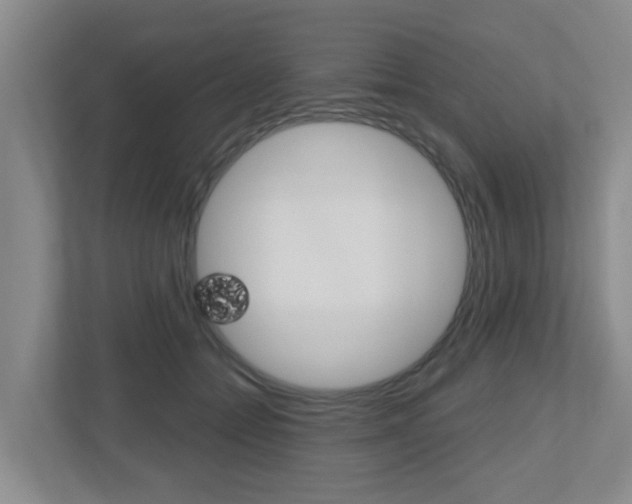 X0000112500558200908171013