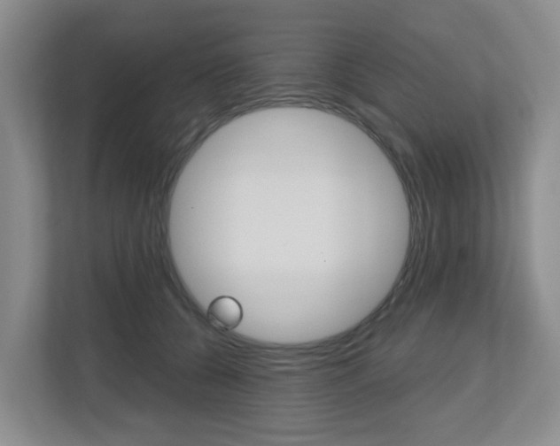 X0000112500560200908171013