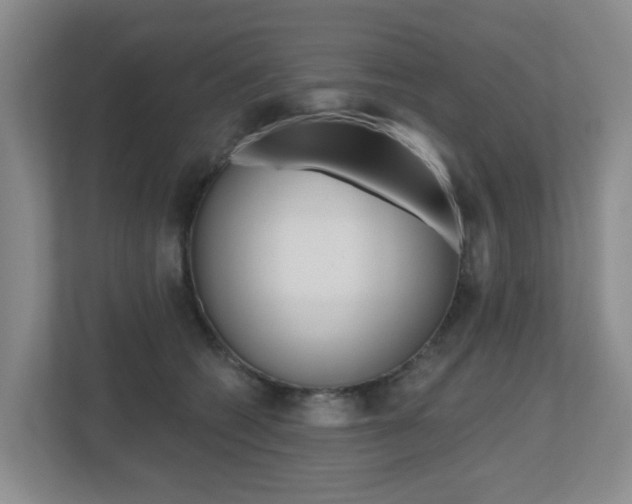 X0000112500562200908171013