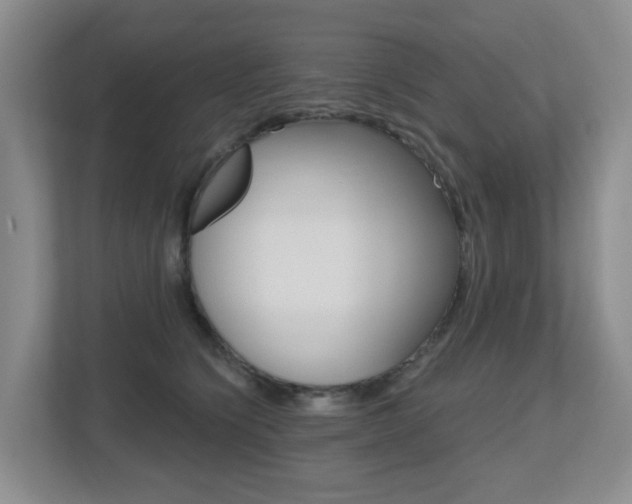 X0000112500564200908171013