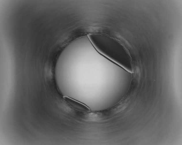 X0000112500566200908171013