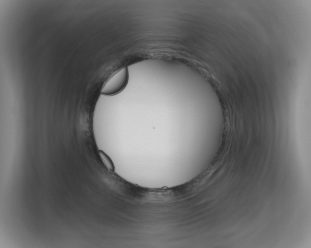 X0000112500571200908171013