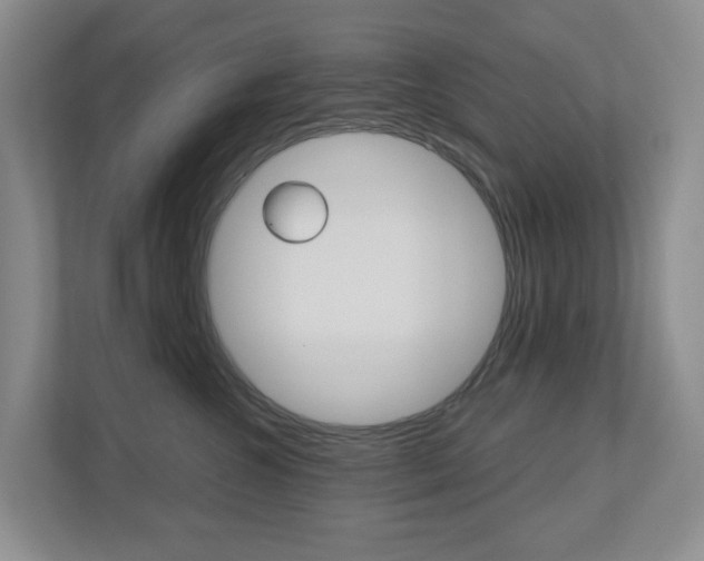 X0000112500572200908171014