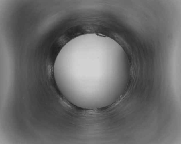 X0000112500574200908171014