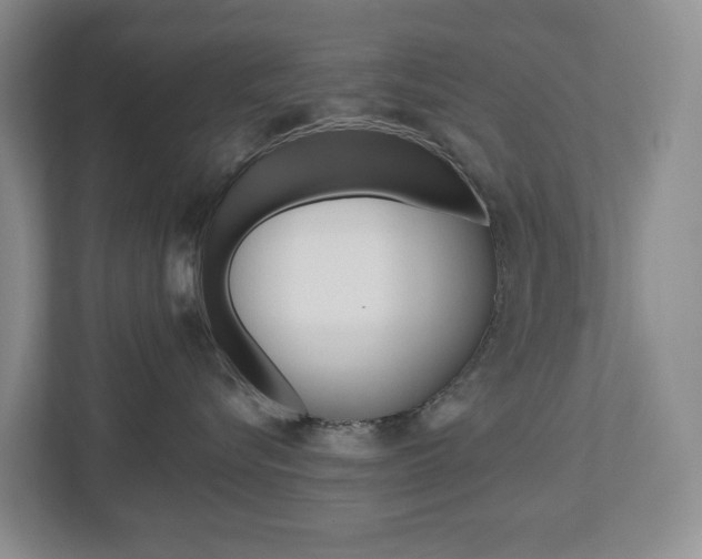 X0000112500576200908171014
