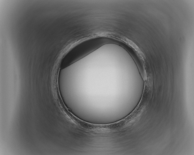 X0000112500577200908171013
