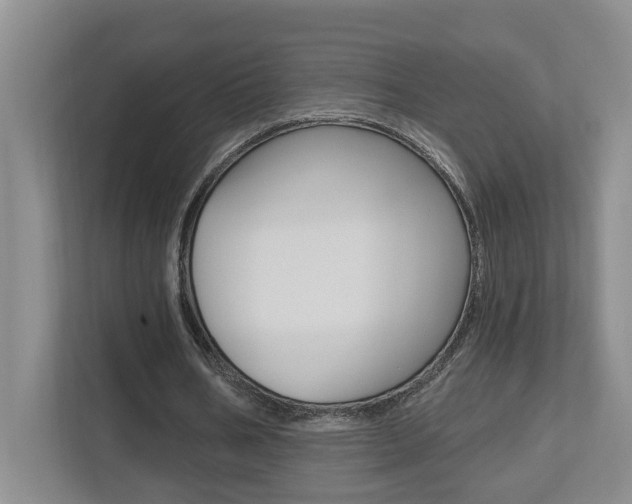 X0000112500578200908171013