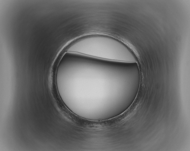 X0000112500580200908171013