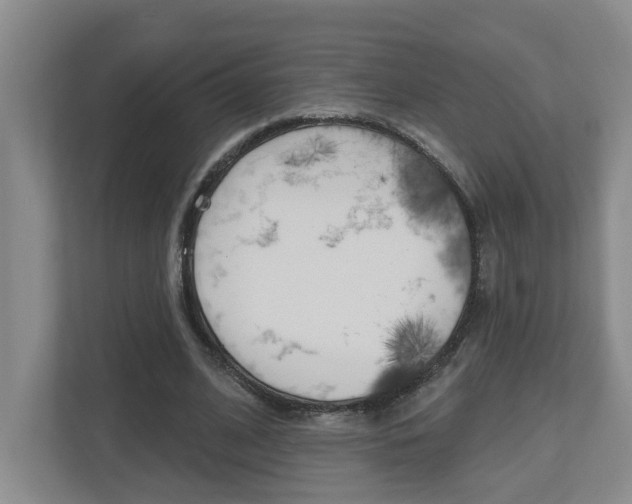 X0000112500584200908171013