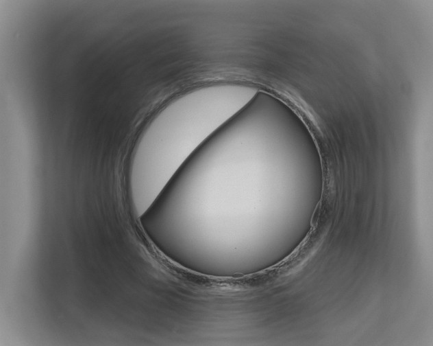 X0000112500585200908171013