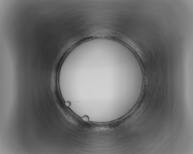 X0000112500586200908171013