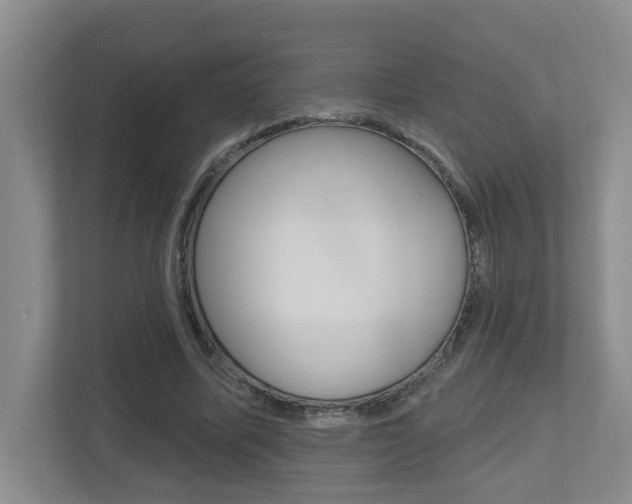 X0000112500587200908171013