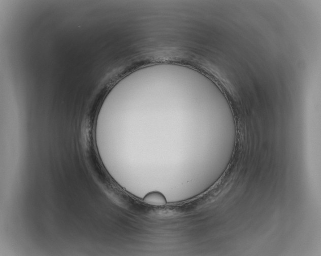 X0000112500590200908171013