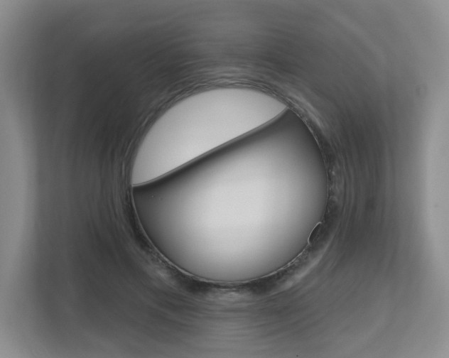 X0000112500597200908171013