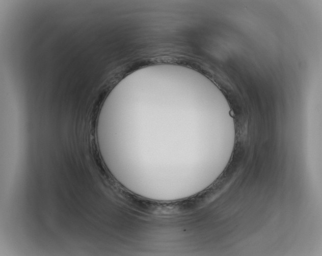 X0000112500599200908171013