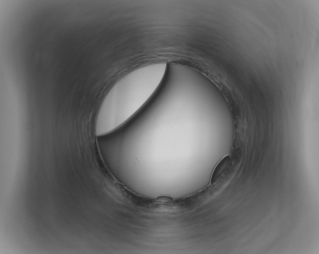 X0000112500601200908171013