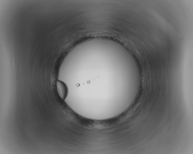 X0000112500608200908171013