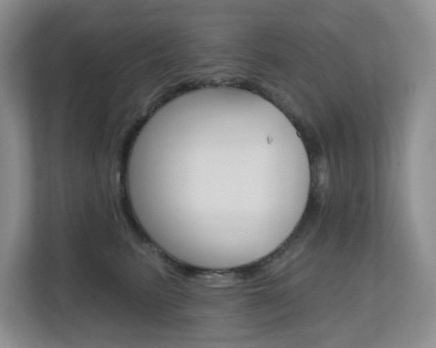 X0000112500615200908171012