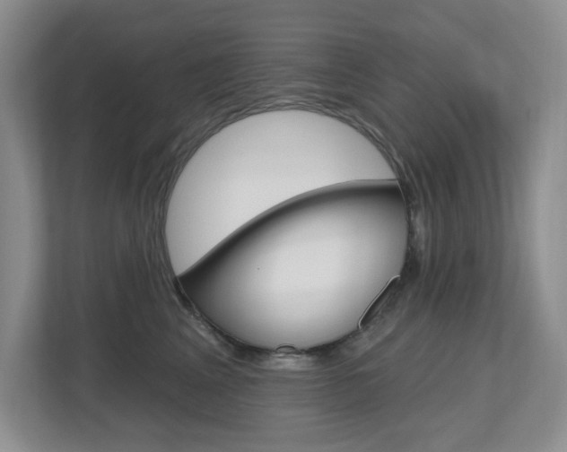 X0000112500617200908171012