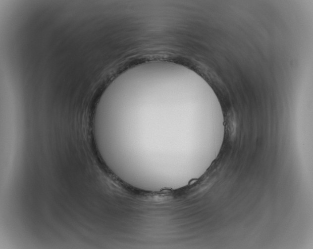 X0000112500619200908171012