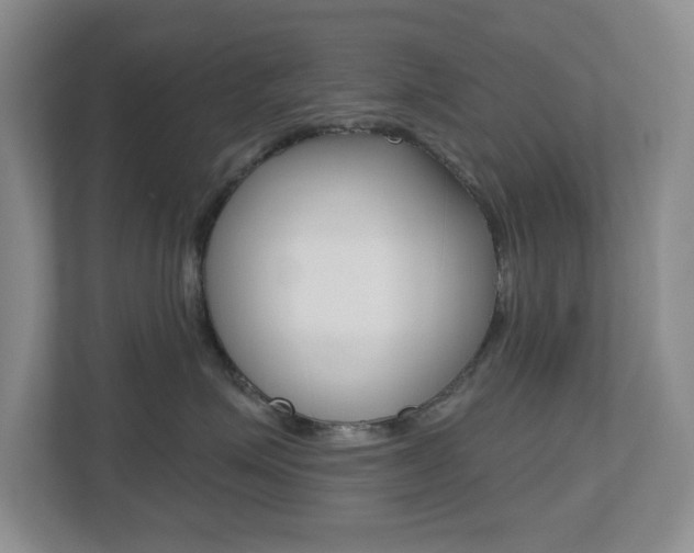 X0000112500623200908171012