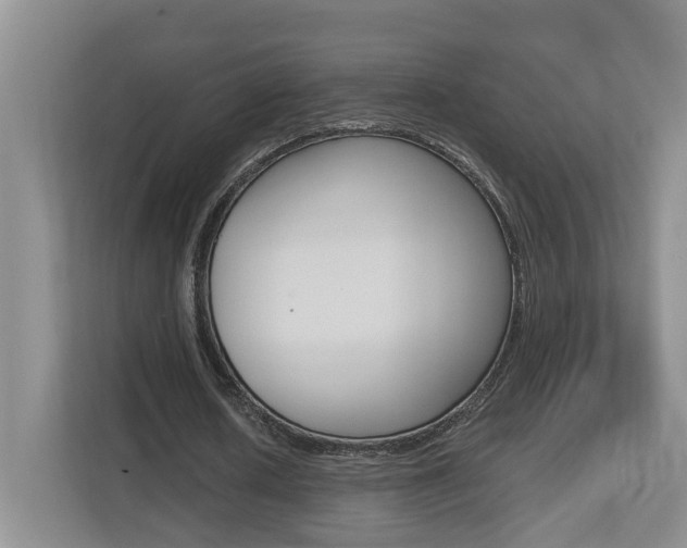 X0000112500626200908171012