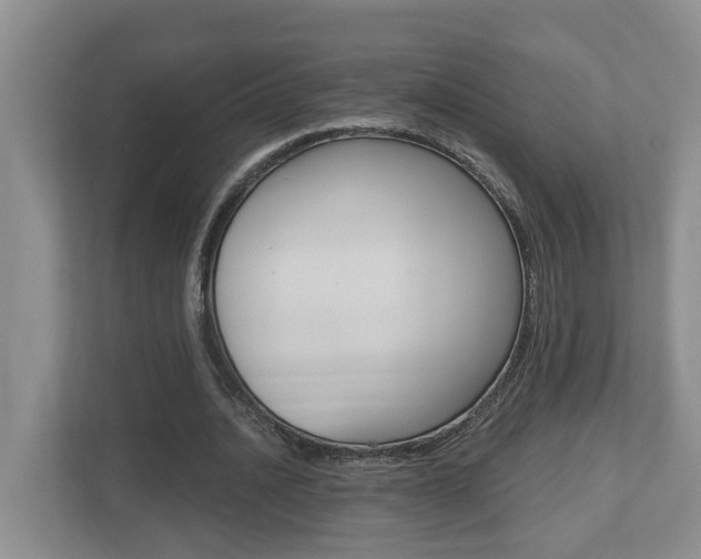 X0000112500628200908171012